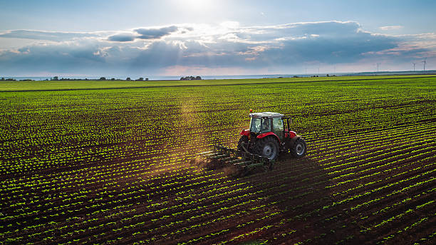Farm